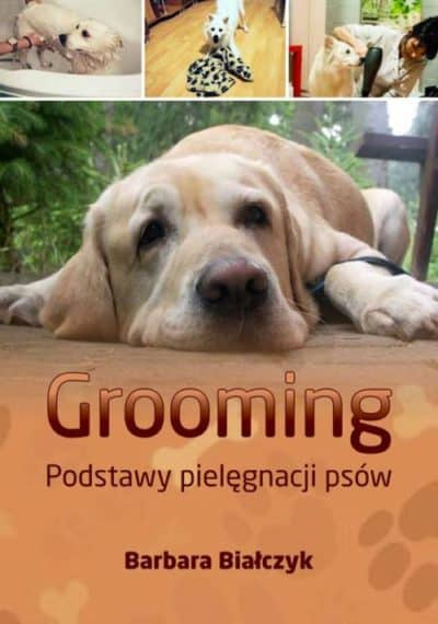 Grooming - podstawy strzyżenia i pielęgnacji psów