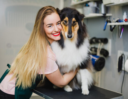 Jak przygotować swojego czworonoga do wizyty u fryzjera?