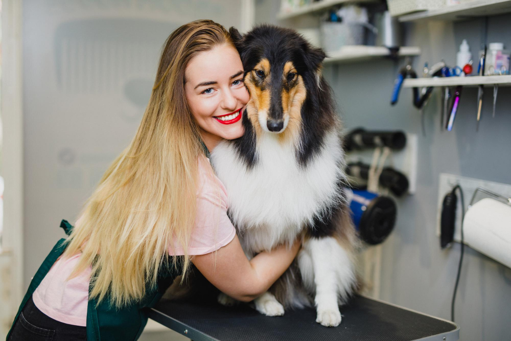 Jak przygotować swojego czworonoga do wizyty u fryzjera?